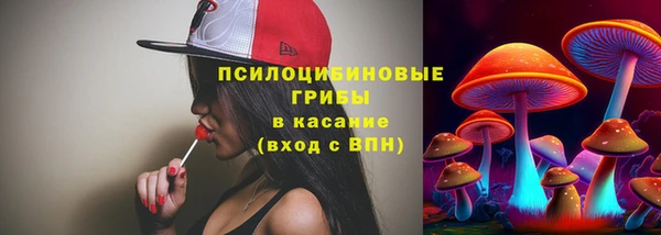 крисы Краснотурьинск