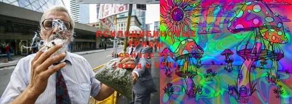 мяу мяу мука Кукмор
