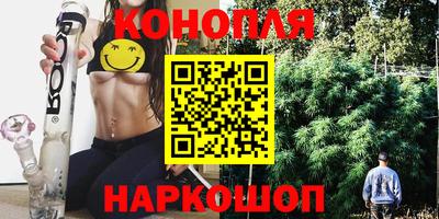 гашик Малгобек