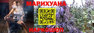 гашик Малгобек