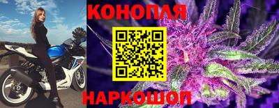 гашик Малгобек