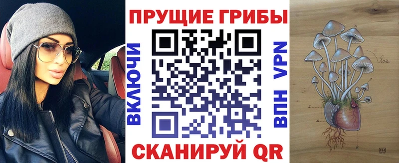 где продают   Юрга  гидра зеркало  Псилоцибиновые грибы мухоморы 